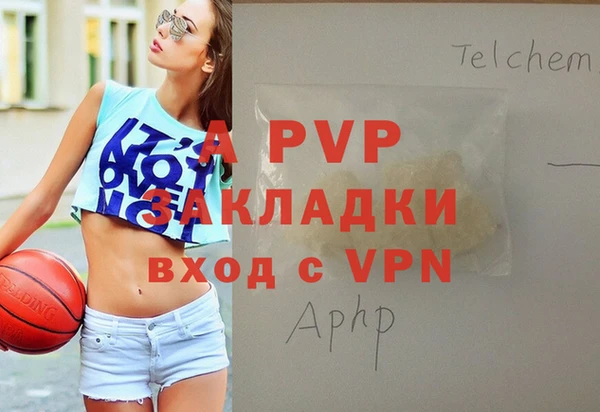 ПСИЛОЦИБИНОВЫЕ ГРИБЫ Каменка