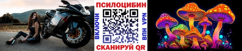 Галлюциногенные грибы Psilocybe  Вельск 
